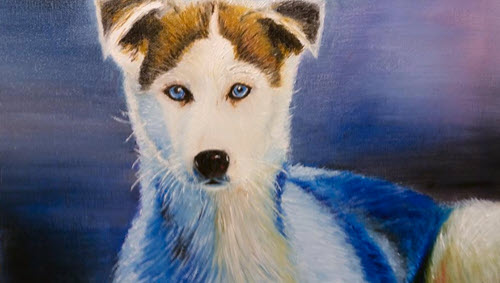 images/petgallery/husky.jpg#joomlaImage://local-images/petgallery/husky.jpg?width=500&height=283