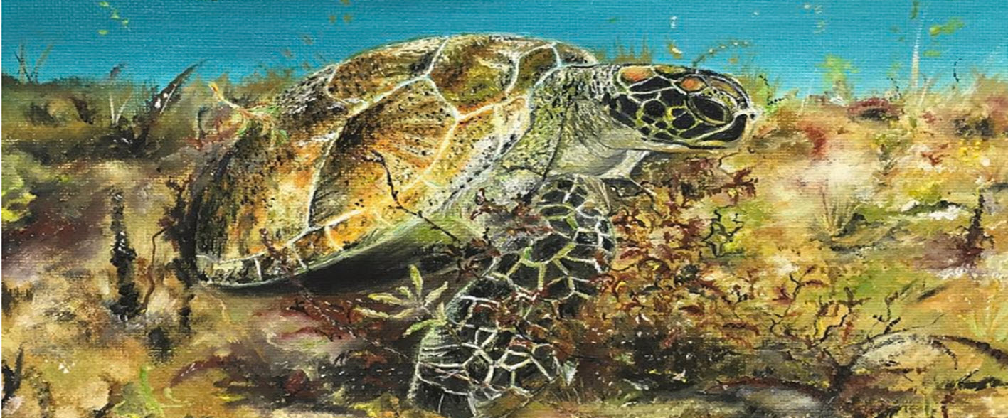 Turtle Reef